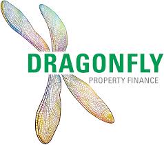 Dragonfly makes new Head appointment  